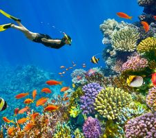 ЕКСКЛУЗИВНИ ОТСТЪПКИ - Почивка в Шарм ел Шейх, Египет със самолет от София - 7 нощувки